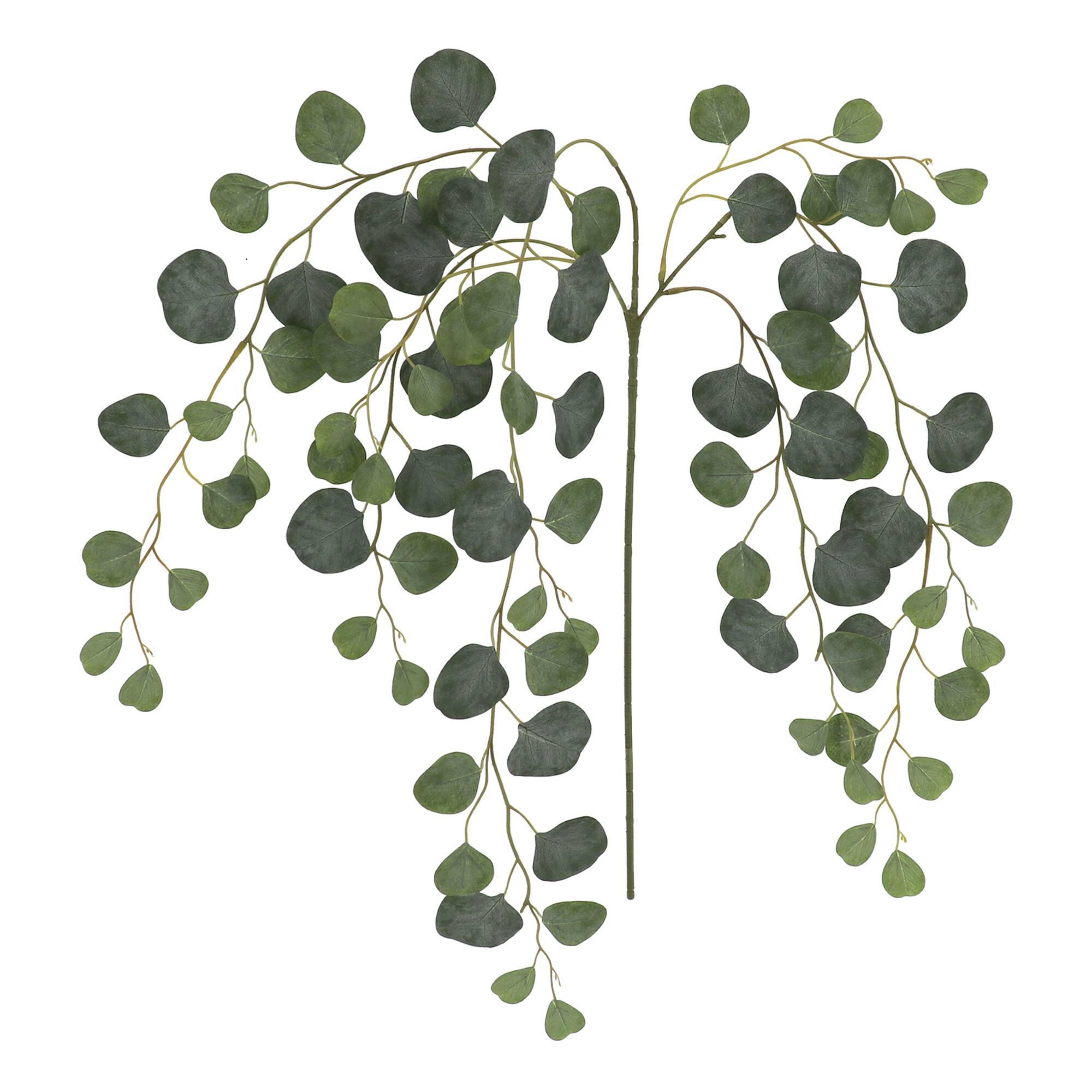 6 Pack: 24" Round Eucalyptus Stem by Ashland®